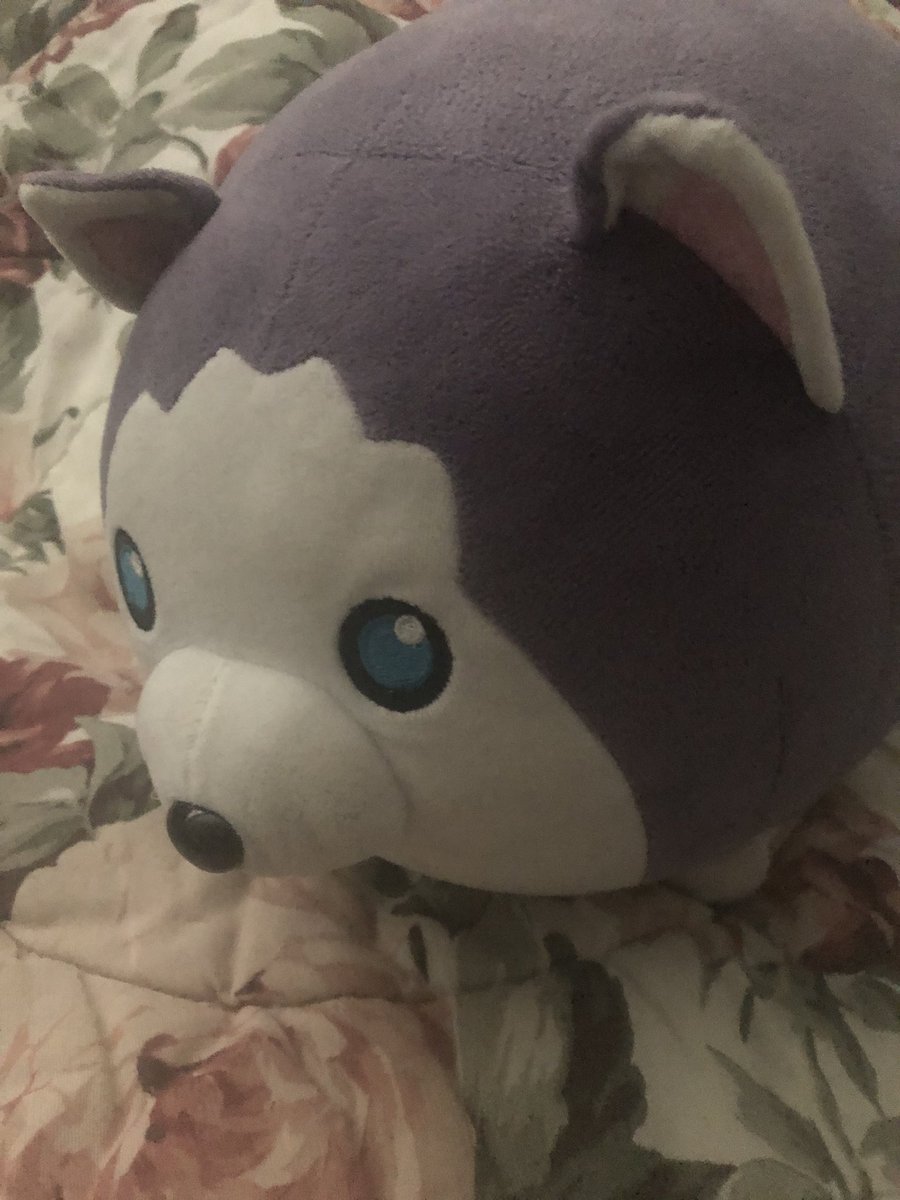 MintKagamine's tweet image. #AaronLycan
I still have wolf #Wolfplush
#mystreet #Minecraft