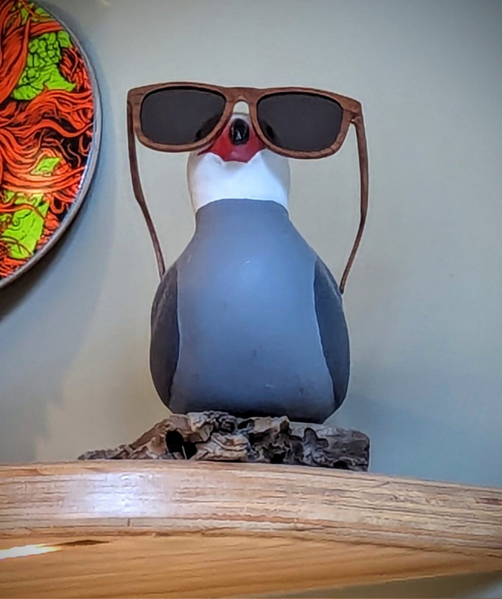 Aidangull1's tweet photo. Having FRIES and brews at @obbeerco , a really cool little brewery with a seagull mascot. Maybe I'm a tad biased, but this place rocks. ^v^
#NotAnAdJustAFan https://t.co/0FhaScEb4v