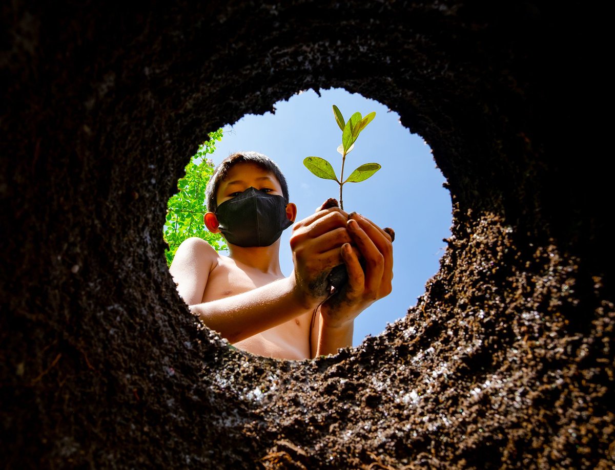 🖼️  📸#MyClimateAction is a stunning collection of photos from around the globe showcasing the steps being taken by people everywhere to combat the climate emergency. 

Let's be inspired by these solutions and #ActNow! 
👀 #UNexhibits 👉 buff.ly/3va6rc0