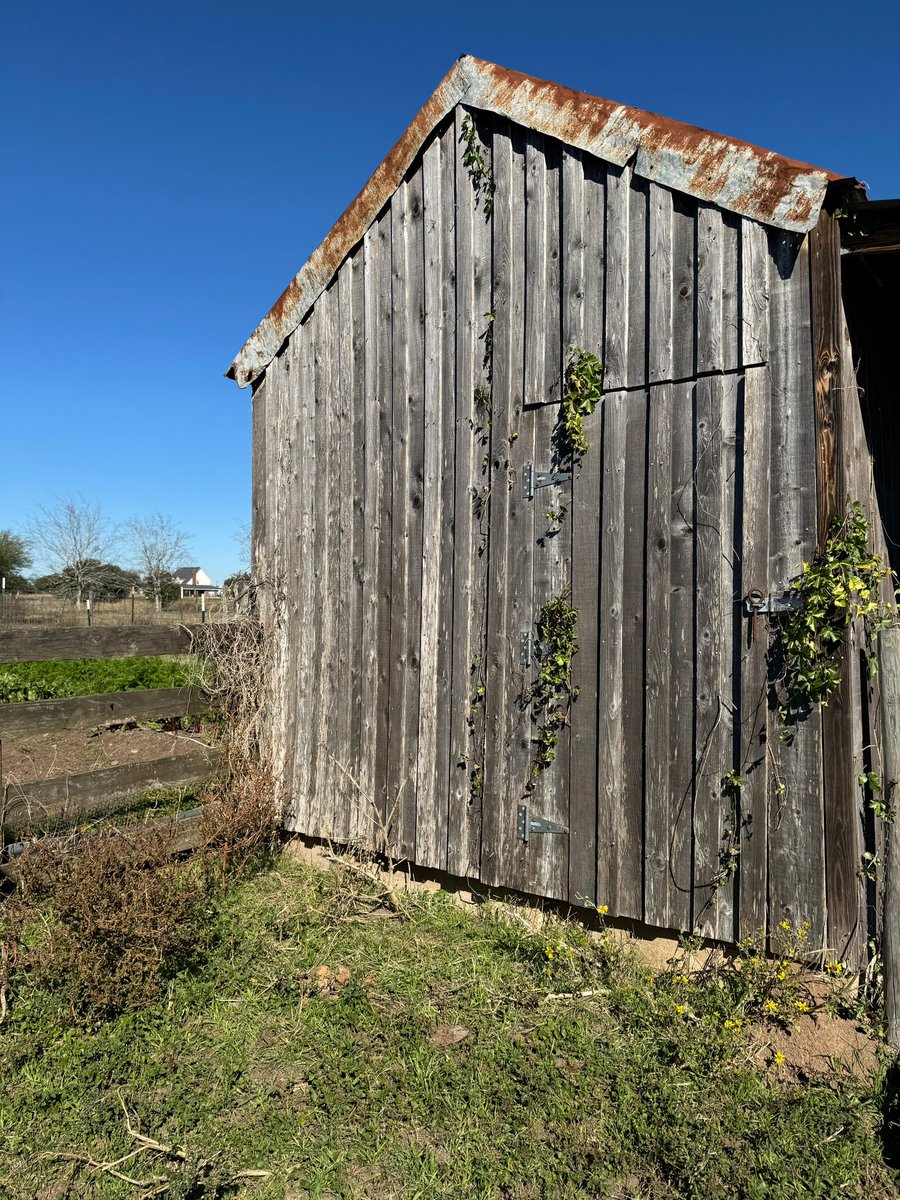 Ward Wyatt tweet media