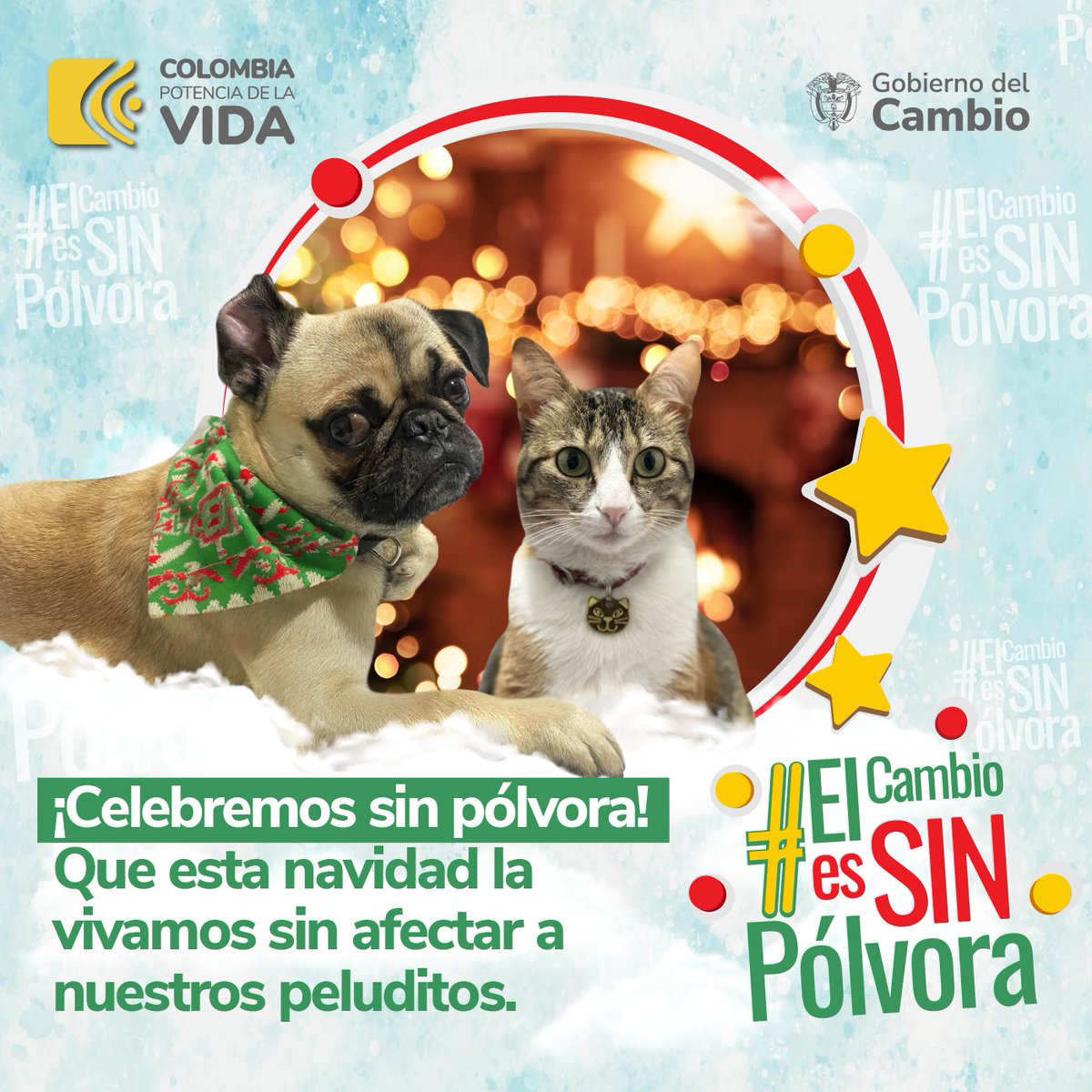 BertulioCabrera's tweet photo. #ElCambioEsSinPólvora | Cuando cuidamos la vida y la salud de las familias colombianas protegemos el futuro y garantizamos unas fiestas en Paz. 

Pensemos también en nuestros animales de compañía que sufren con el ruido de la quema de pólvora. https://t.co/ktDtlX7Qou