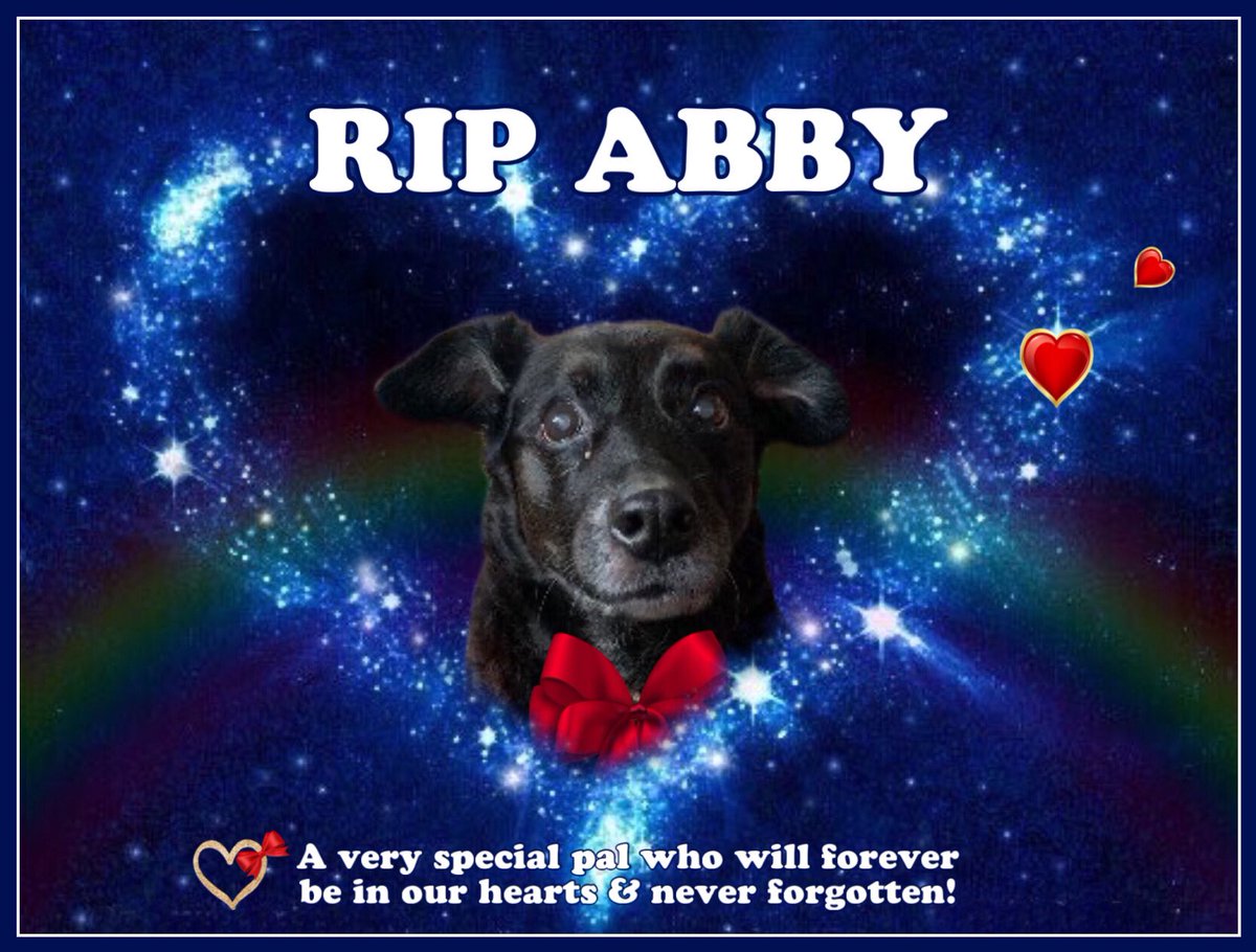 @ZombieSquadHQ @sweetAbby20 @BengalPandora @Burrow43 @RhondaHendee @ThorSelfies @CancerDoggy @Sprocket_Cool @GenoBazz @ZeroRice1012 💔😢Sending love & deepest sympathies to the family & furpals of beautiful ABBY🌈. *hugs her Mum tightly* Run free brave soldyer & very dear pal. *salutes & tearfully lowers head* Iz will never forget youz & your hugs, sisfur! *blows puppy 💋s skywards* 💕❤️🐶🎀🌈🐾 #ZSHQ