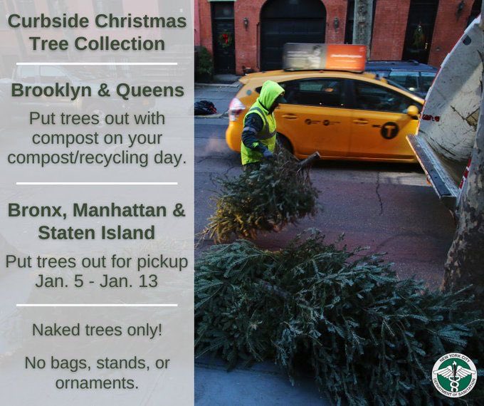 The @NYCSanitation will collect live Christmas trees; all trees must be bare. Bronx residents should put out their trees for pickup from Fri, 1/5 to Sat, 1/13. These trees will be collected separately from trash & recycling; pickup may not occur immediately.