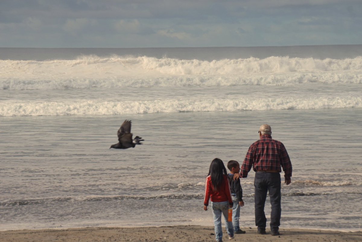 𐙚 ˚🍰 ⋆｡˚ 🧈 tweet media