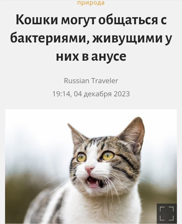 Среди людей тем же навыком обладают многие твиттерские.