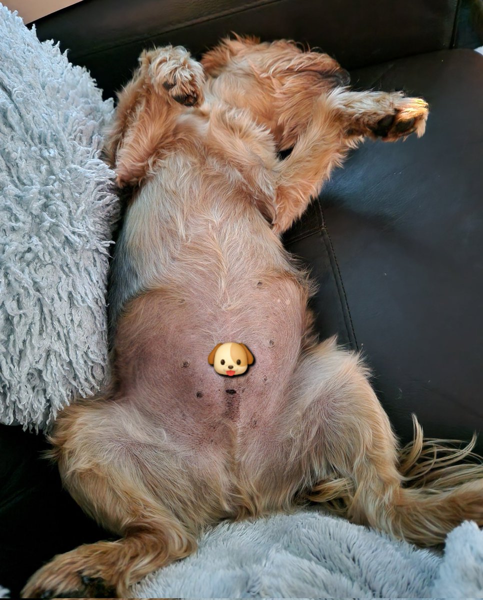 jennystape's tweet image. Muvver says we look like a couple of drunks! 
#HowVeryDareShe #BlimminNerve #SheShouldKnow