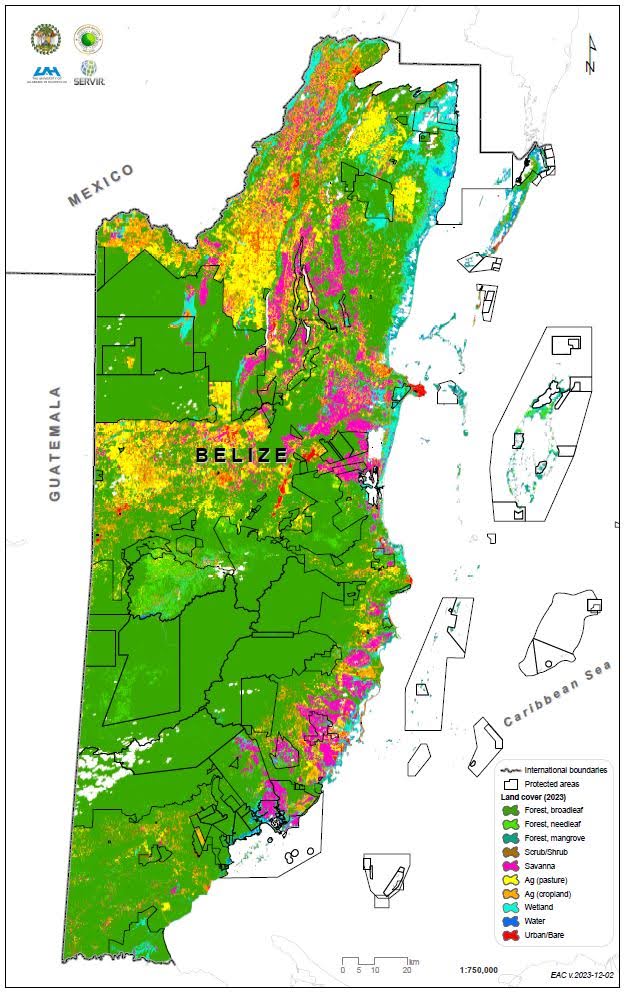 BzGEO's tweet photo. 1/n: "Think globally, act locally." While we didn't generate #LandCover maps of #Belize w/ as extensive a #classification scheme as the recent #OpenLandMap data 👇, in July we did generate *2023* 🇧🇿 land cover data leveraging various iterations of #Landsat data + #EarthEngine.🧐 https://t.co/qO9VOcSpIK