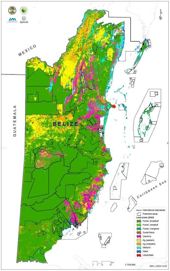 BzGEO's tweet photo. 1/n: "Think globally, act locally." While we didn't generate #LandCover maps of #Belize w/ as extensive a #classification scheme as the recent #OpenLandMap data 👇, in July we did generate *2023* 🇧🇿 land cover data leveraging various iterations of #Landsat data + #EarthEngine.🧐 https://t.co/qO9VOcSpIK