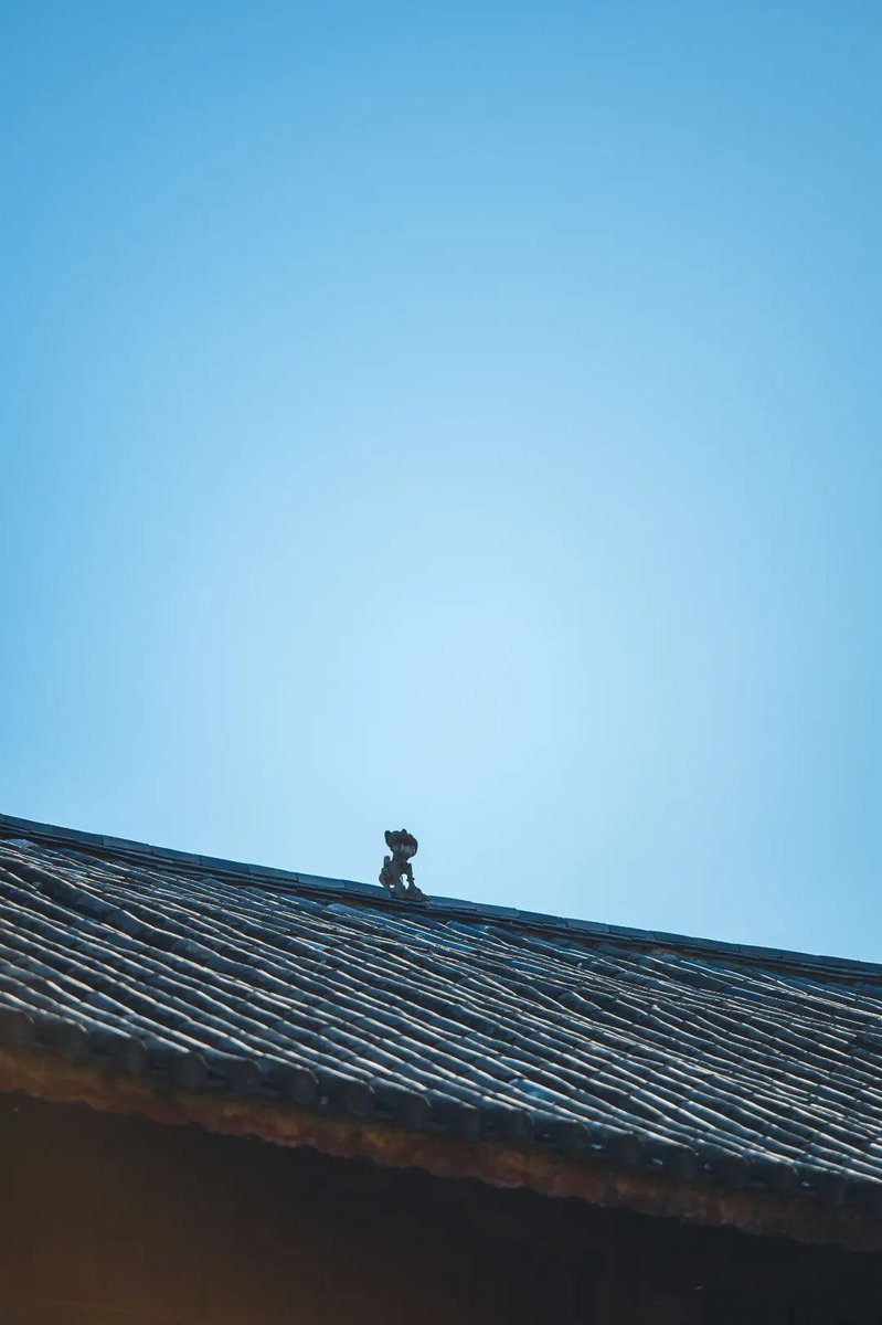 LijiangAmazing's tweet image. The “cat” is guarding your house loyally on the top of the roof. #TileCat