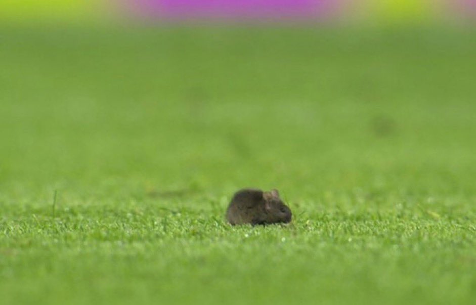 City_Chief's tweet photo. 🚨BREAKING! Bruno Fernandes spotted at the Etihad Stadium! https://t.co/HJ7sNYD2Ws