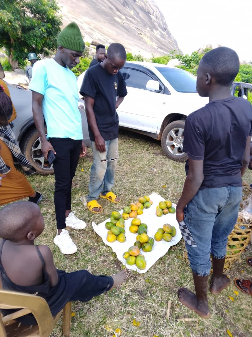 GENIX thank you for 'irrigating' the local economy when you purchase mangoes from the young residents of Kagulu,come again and bring more friends