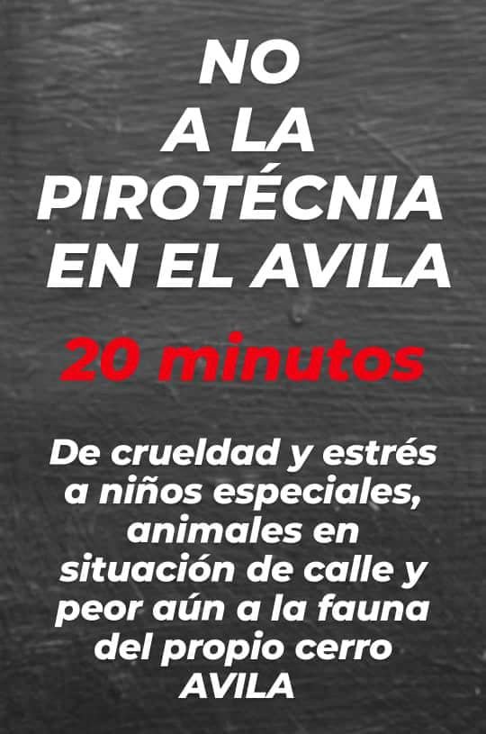 Carmen Cristina Wolf tweet media