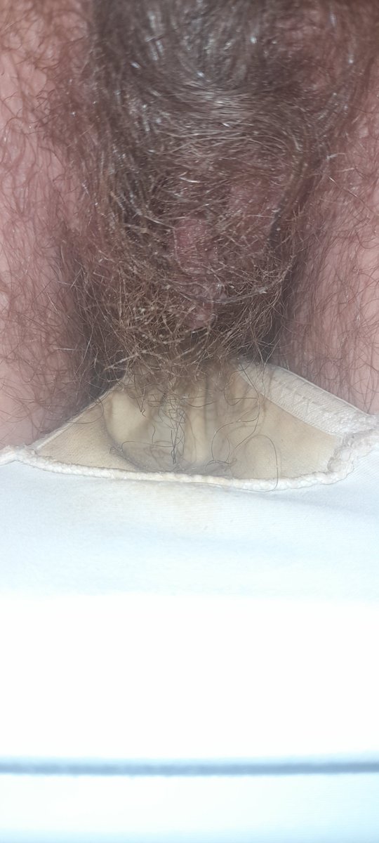 penelopevassi tweet media