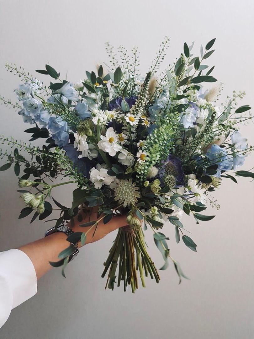 ciceklendirdik's tweet photo. 💐💐💐 https://t.co/2bCuFGWUQS