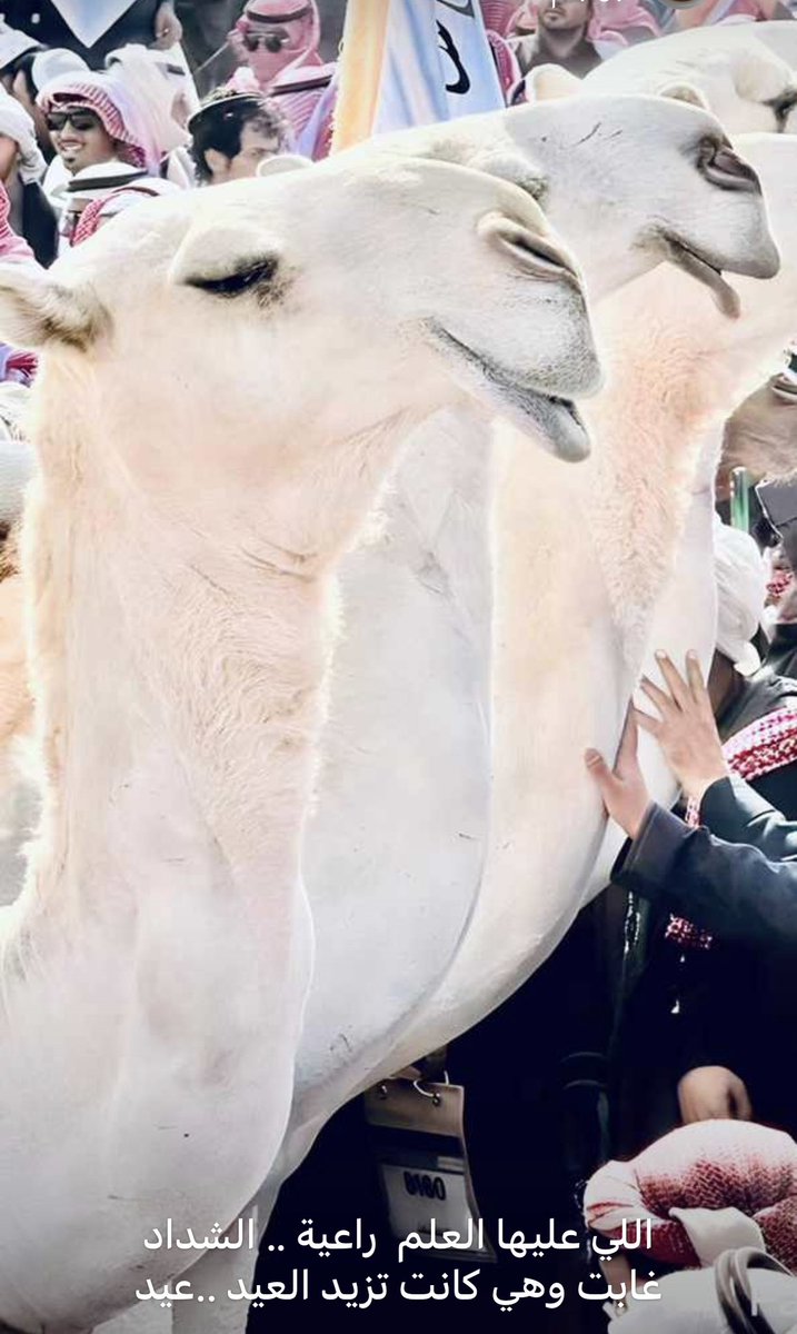 سلطان المطيري (@sm_2017) on Twitter photo 