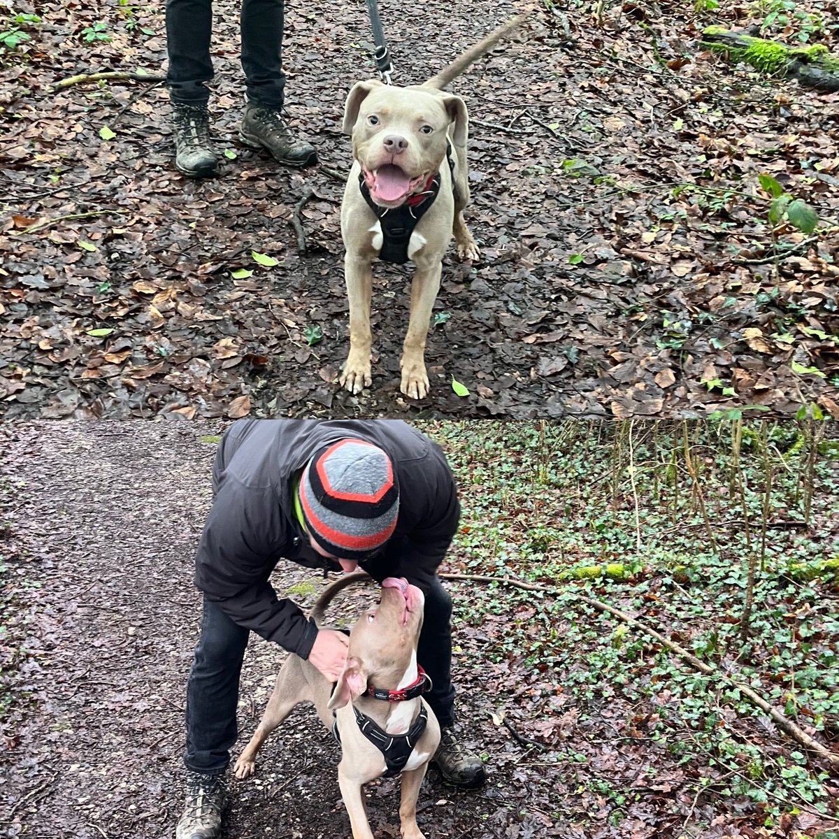 An extra visit <a href="/HopeRescue/">Hope Rescue</a> today and keeping everything crossed that we can bring him home next week. 💕