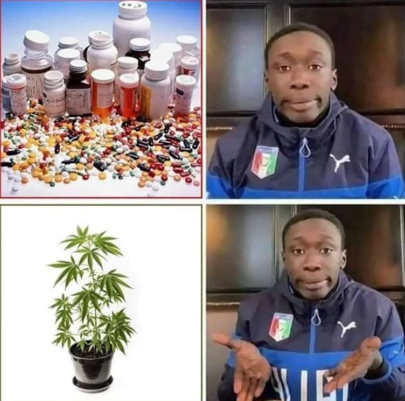 THChumor's tweet photo. 🌱 > 💊 https://t.co/lL90zNC7A1