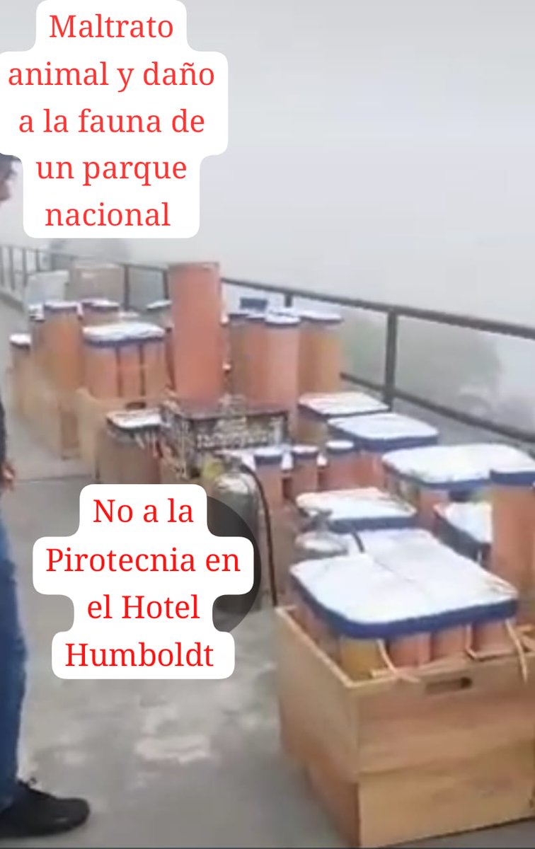 DANELLOPRO1's tweet photo. Pido a las autoridades de Caracas que eviten que ocurra un ataque a la fauna del parque nacional 
#NoALaPirotecnia #hotelhumbolt @ecosocialismo @SomosNevado https://t.co/XSgCISMJXs