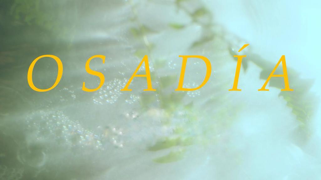 Osadía (Lyrics)- Juliette Robles youtu.be/PlNnfic8oc0?si… a través de <a href="/YouTube/">YouTube</a>