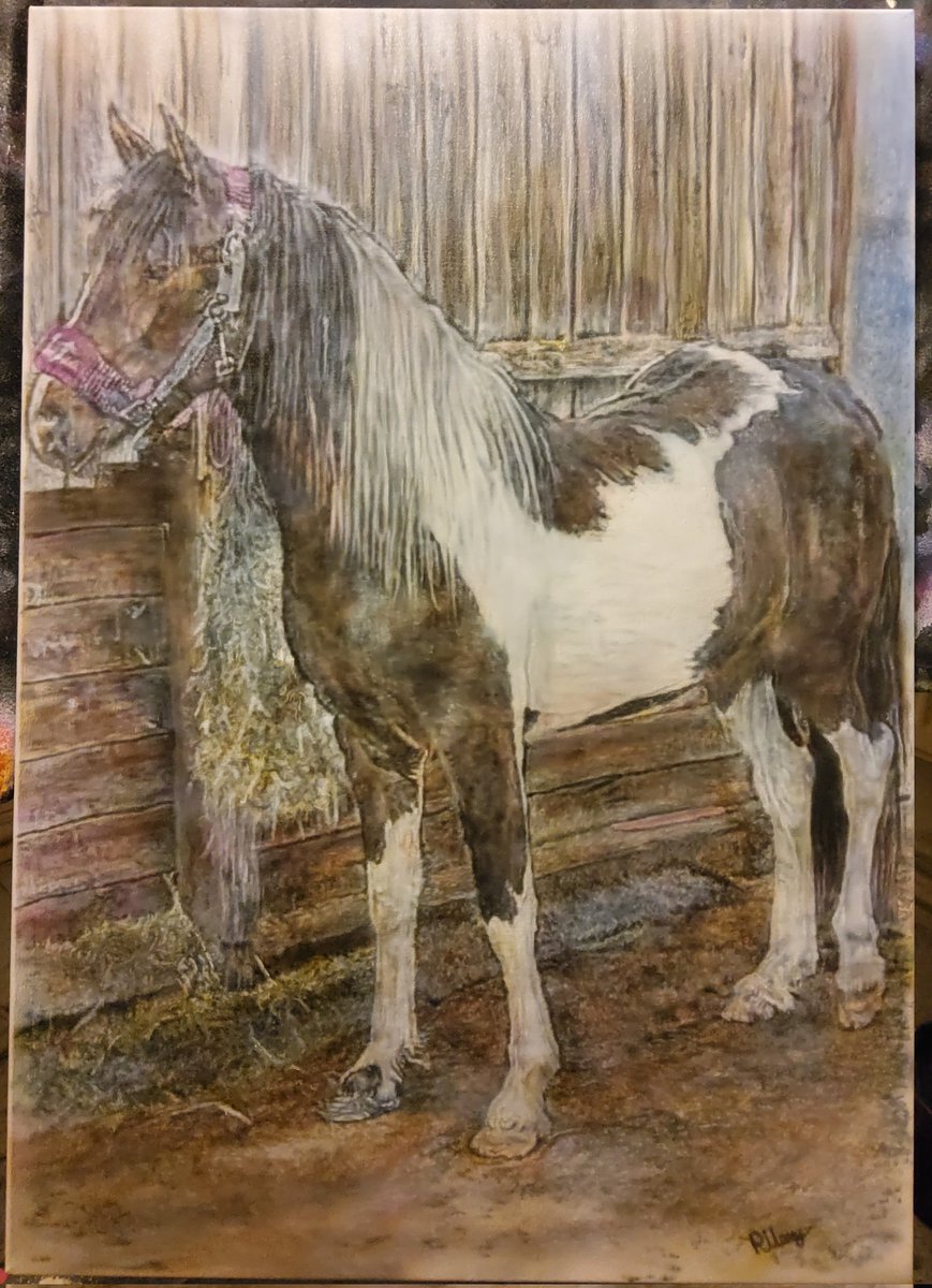 RAirbrushArt's tweet photo. Done for a workmate, horse airbrushed on A1 canvas. #horse #airbrushed #airbrush #art #animals #AnimalLovers #stable https://t.co/FbaKn12Cfn