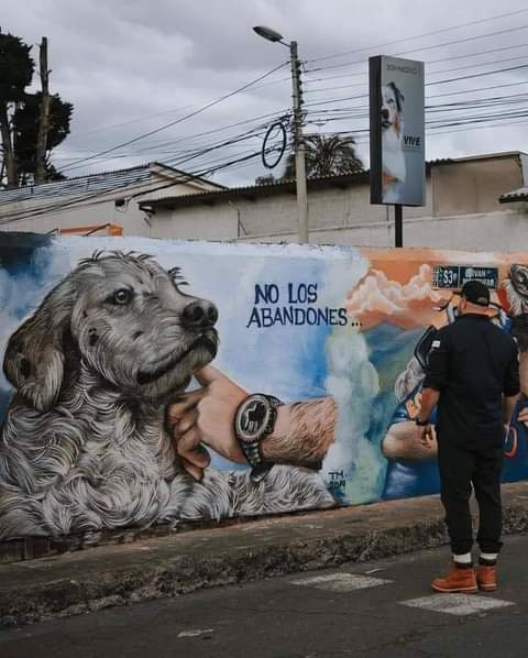 Más arte de este por favor 🐾♥️