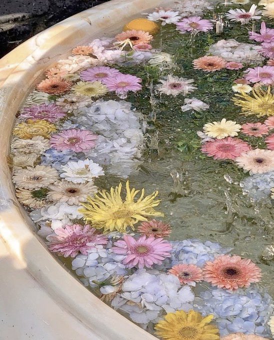 flower fountain ⛲️🌸🌼