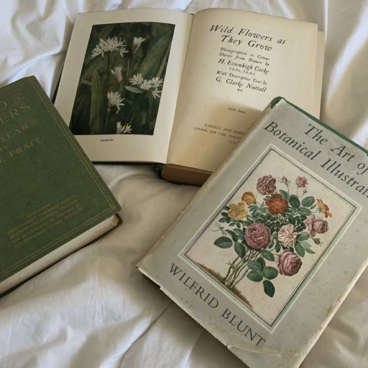 🌿🌼🧺 (@peacozy) on Twitter photo 