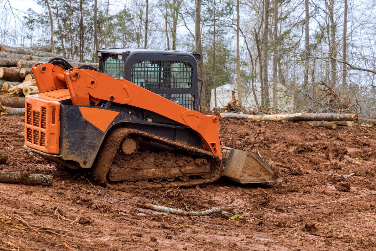 CertTreeCareATX's tweet photo. Transform your land in the new year! Our land clearing service ensures a clean slate for your next project. Contact us at 1-800-609-2358 to start fresh! 🏞️🚜 #LandClearing #NewBeginnings https://t.co/4pqeh0yuOK