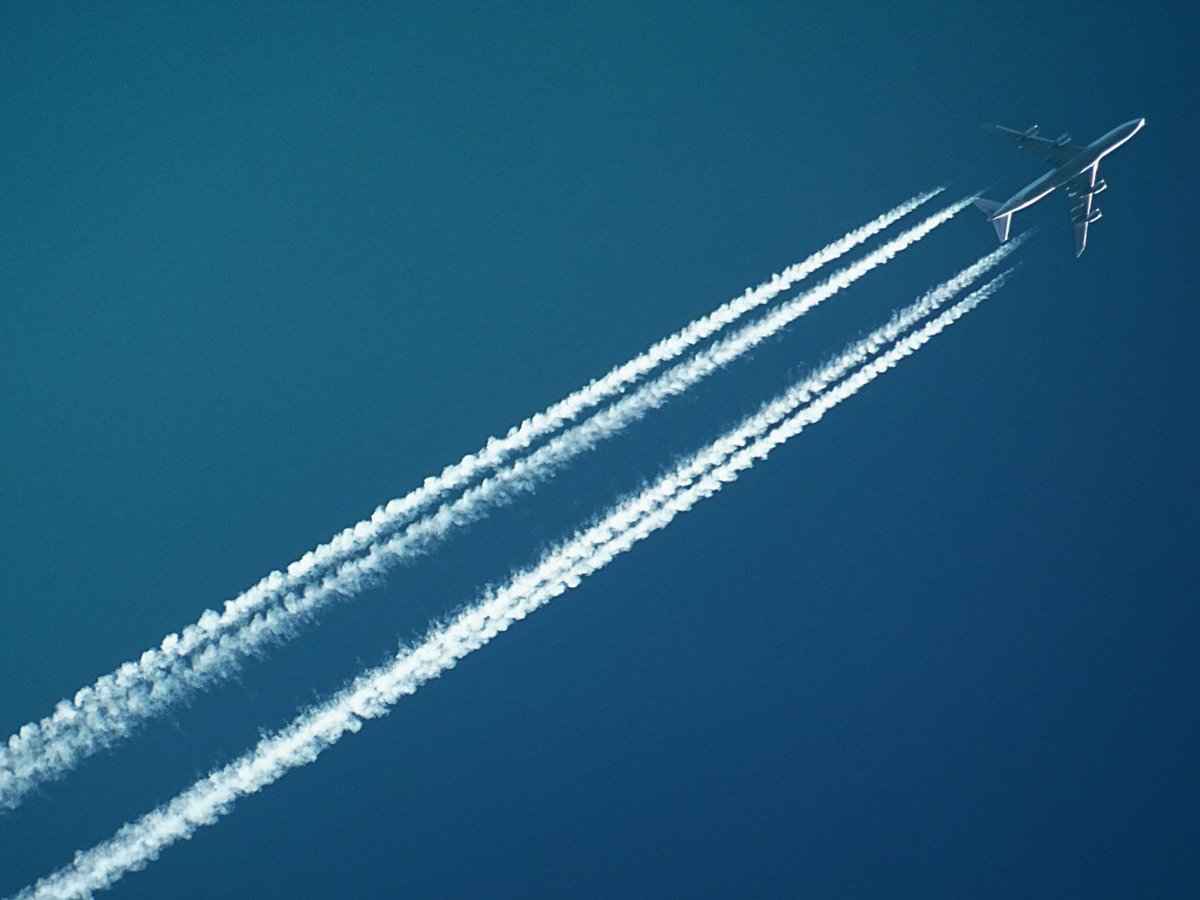 Shane_White75's tweet image. 🌐 Context matters! While considering international standards, the FAA must tailor regulations to the distinct contexts and operational environments of U.S. carriers and their crews. Respect constitutional rights. #FAARegulations #InternationalStandards