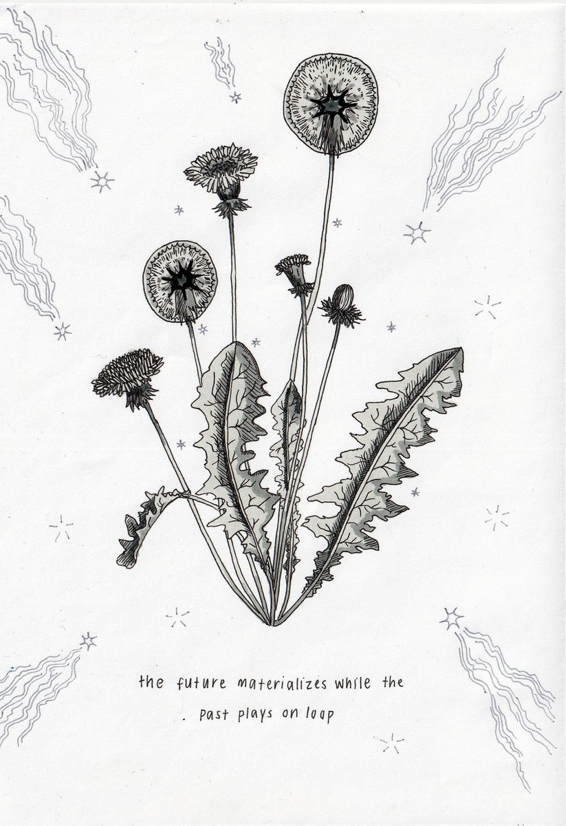 ez(ra) 🐟 tweet media