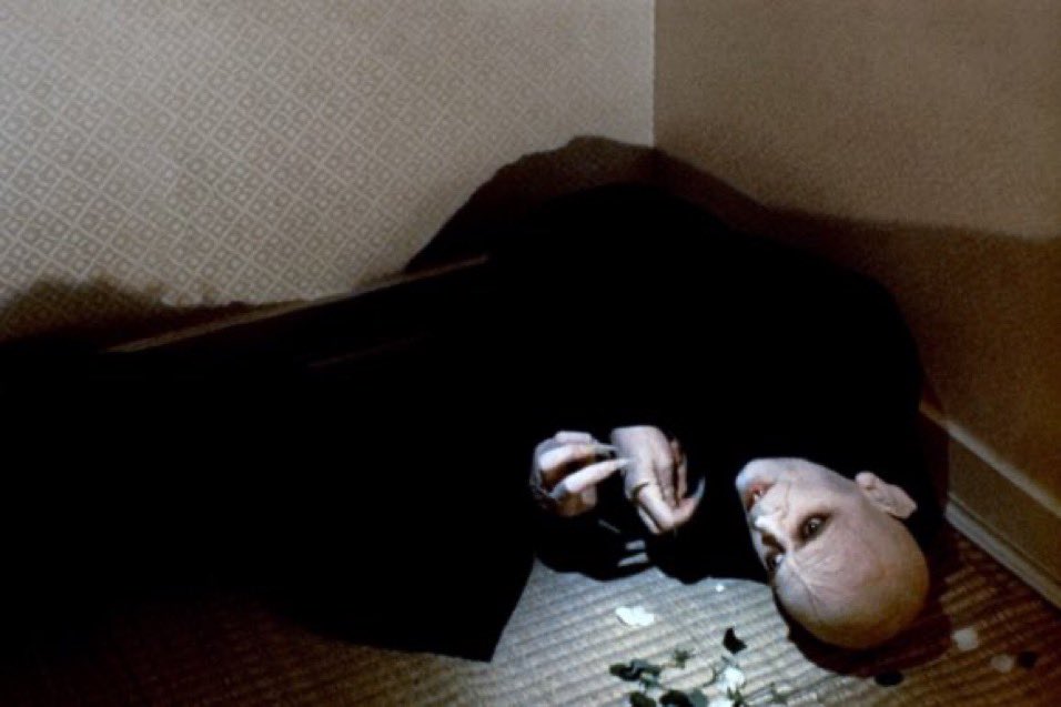 rotting in bed waiting for my dreams to come true