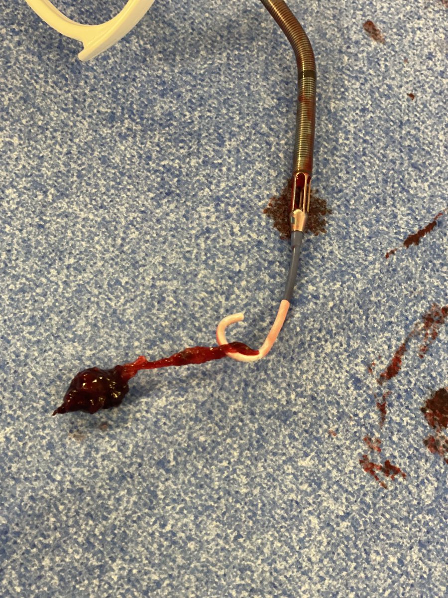 Jonathan Paul tweet media