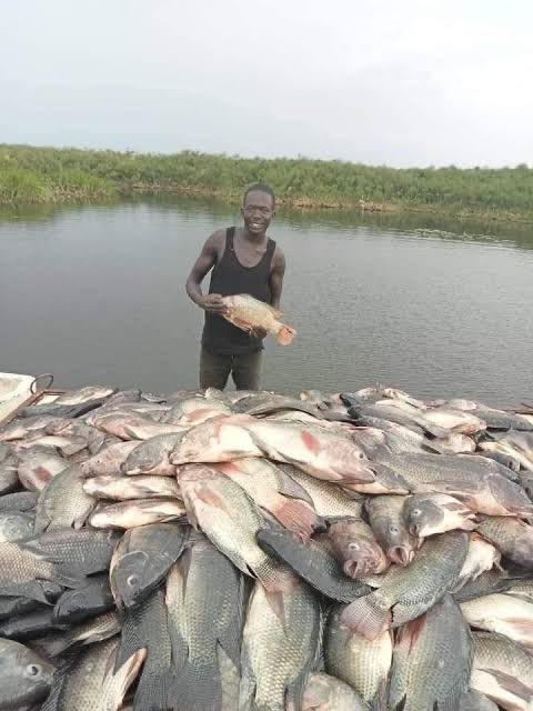 Hon. Stephen Dhieu Dau tweet media