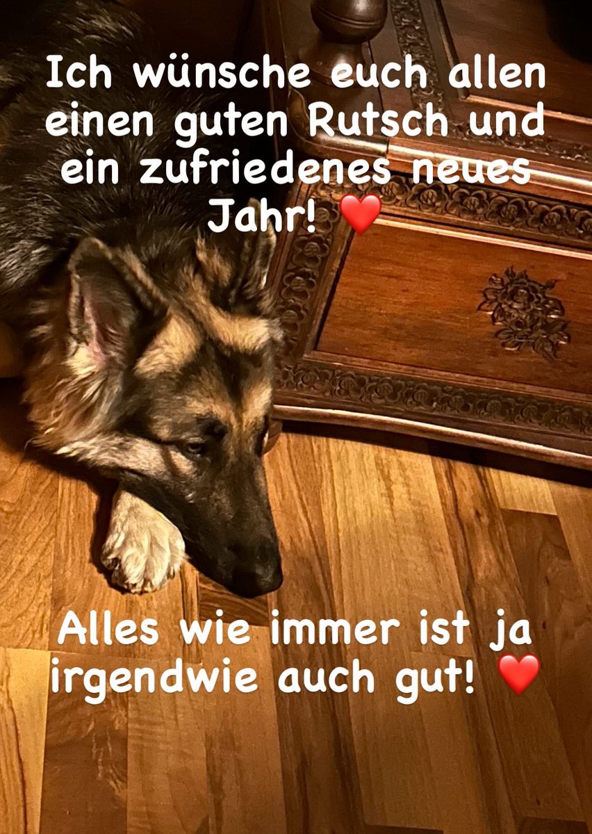 Shepherddog1970's tweet image. 