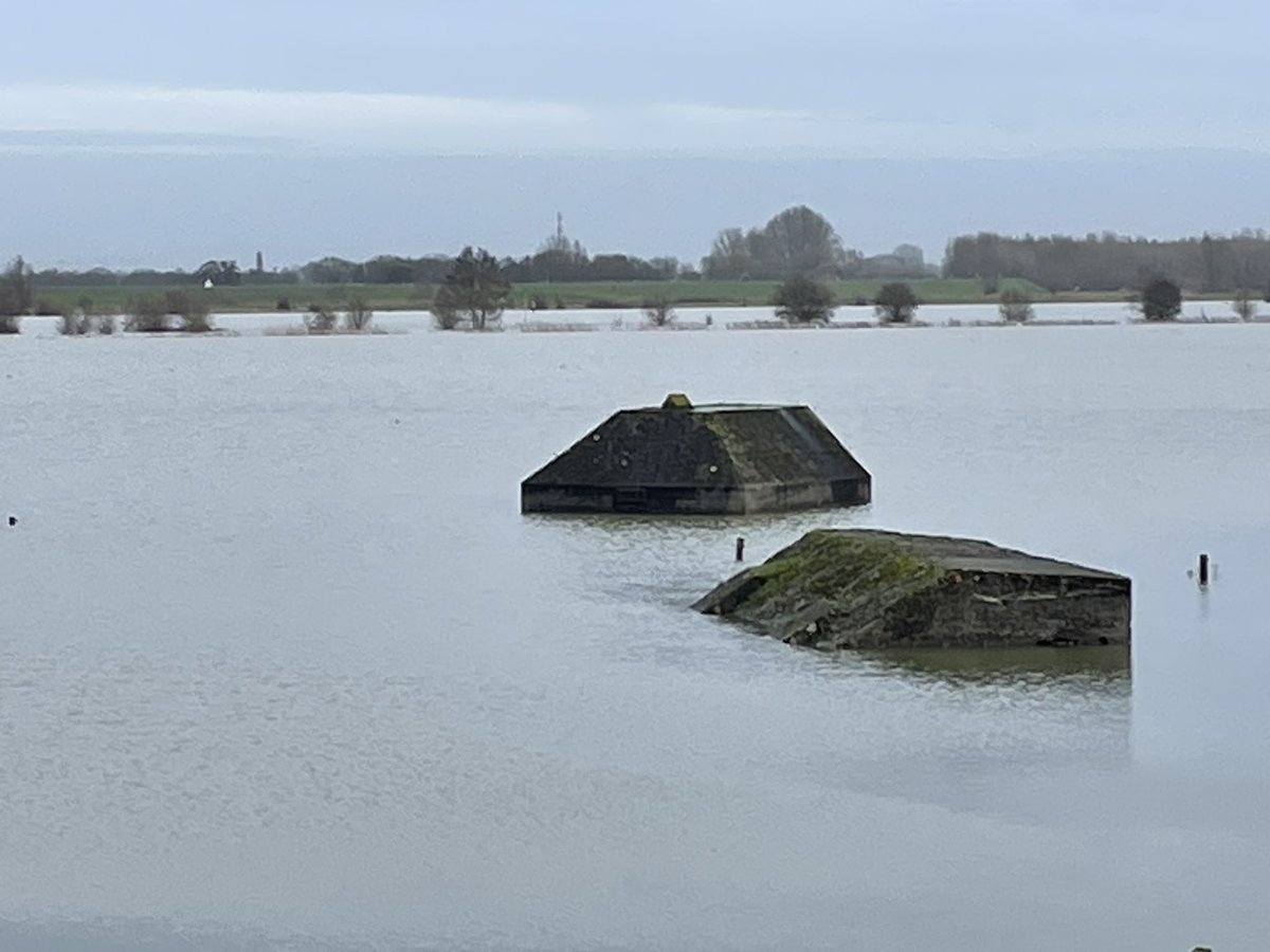 Christa Hendriksen tweet media