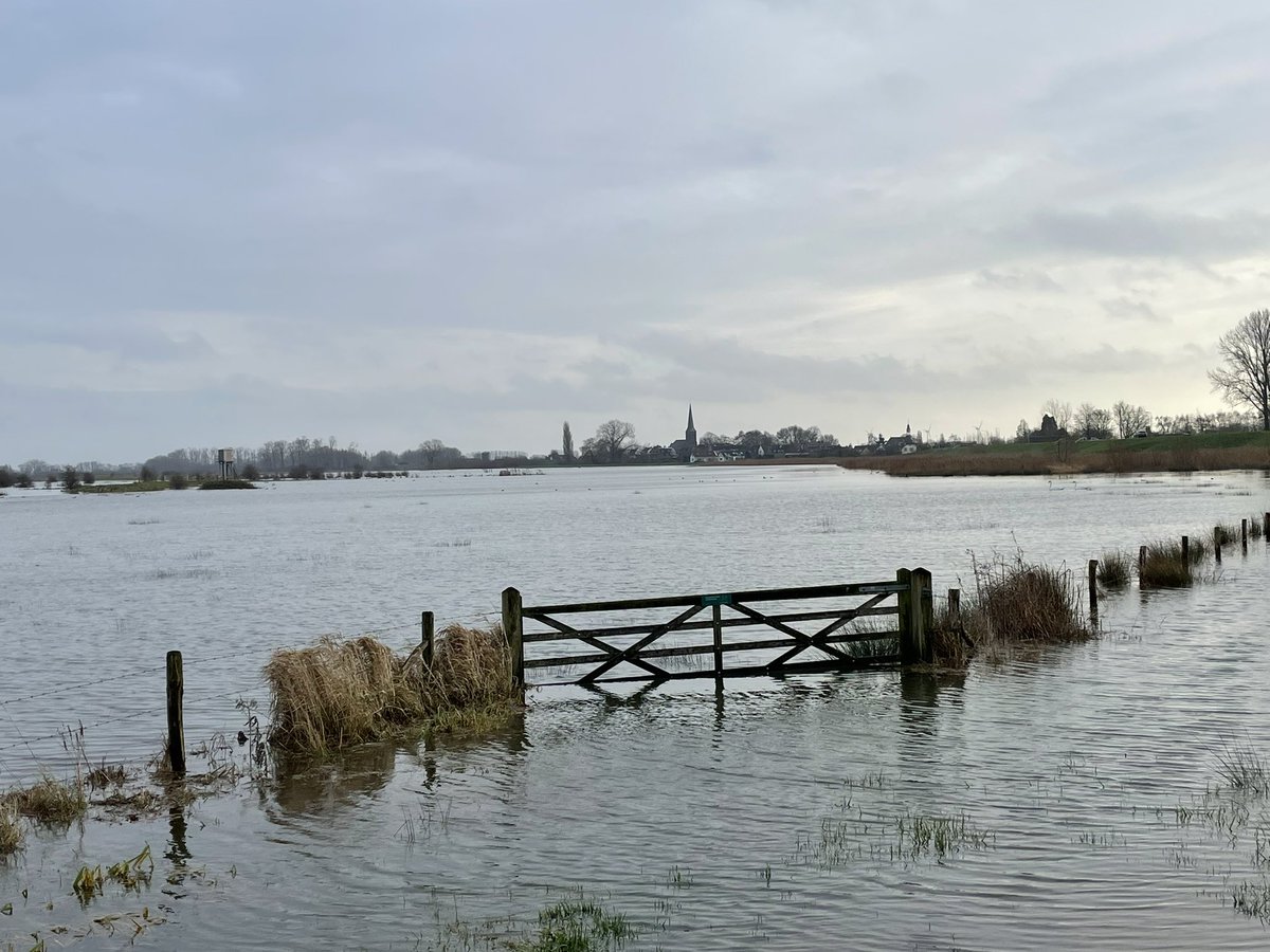 Christa Hendriksen tweet media