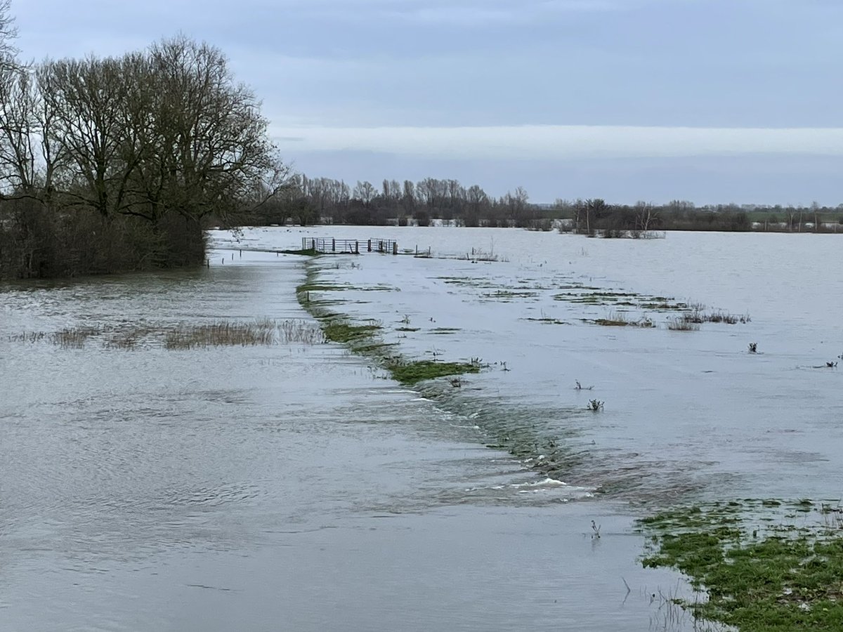 Christa Hendriksen tweet media