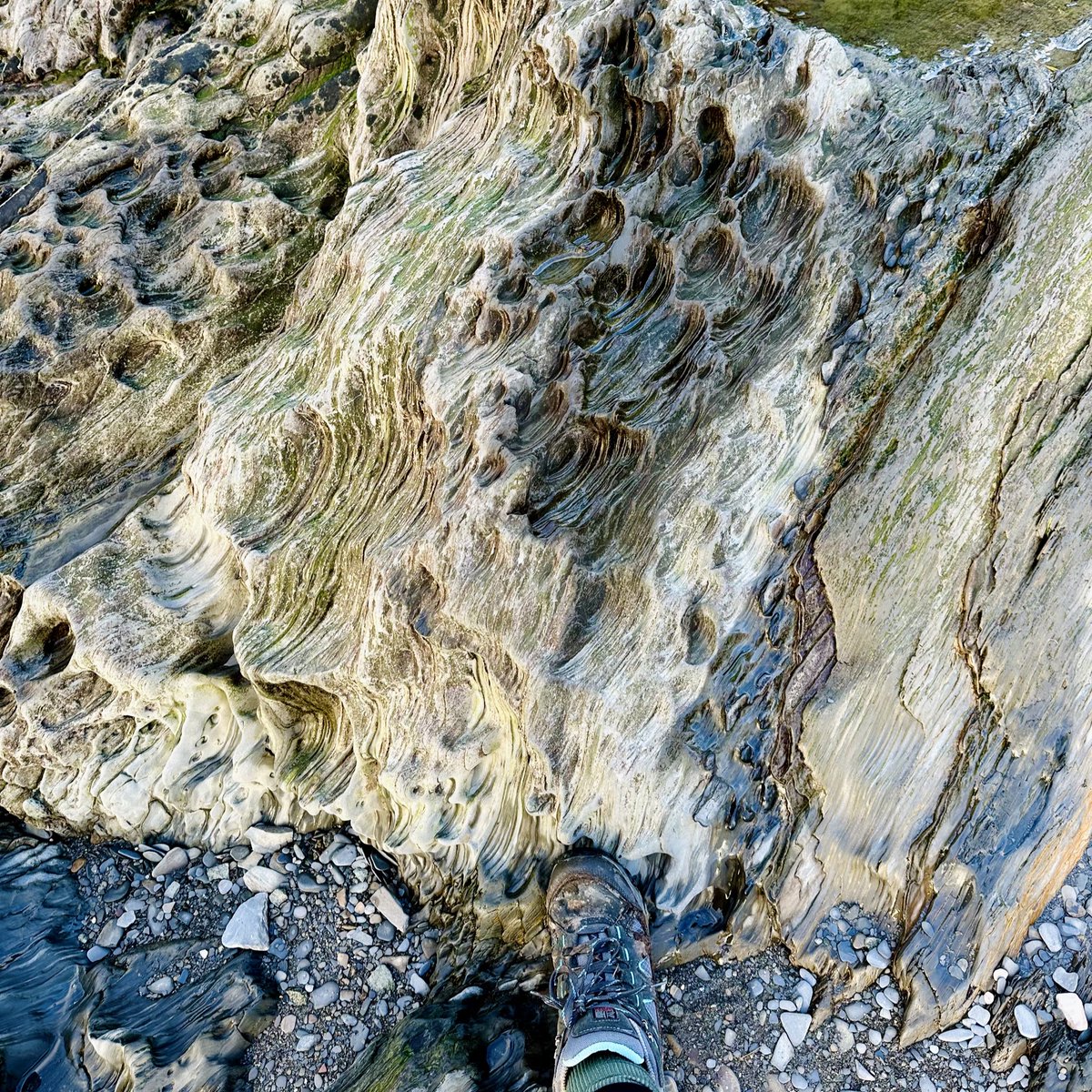 Emma-Louise Cooper tweet media