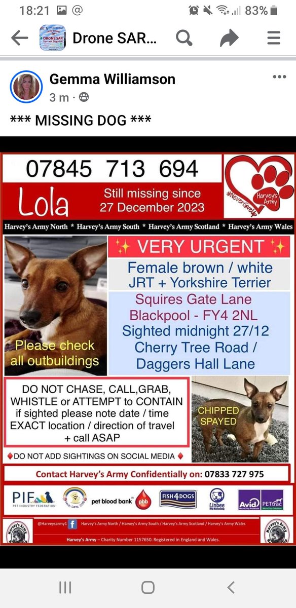 MissingPetsGB's tweet photo. Lola still missing
Possible sightings around the local area #Blackool please keep an eye out for her *** and do not chase/approach/grab her. Call and owner will be there ASAP 07845713694 https://t.co/R68fiGYQap