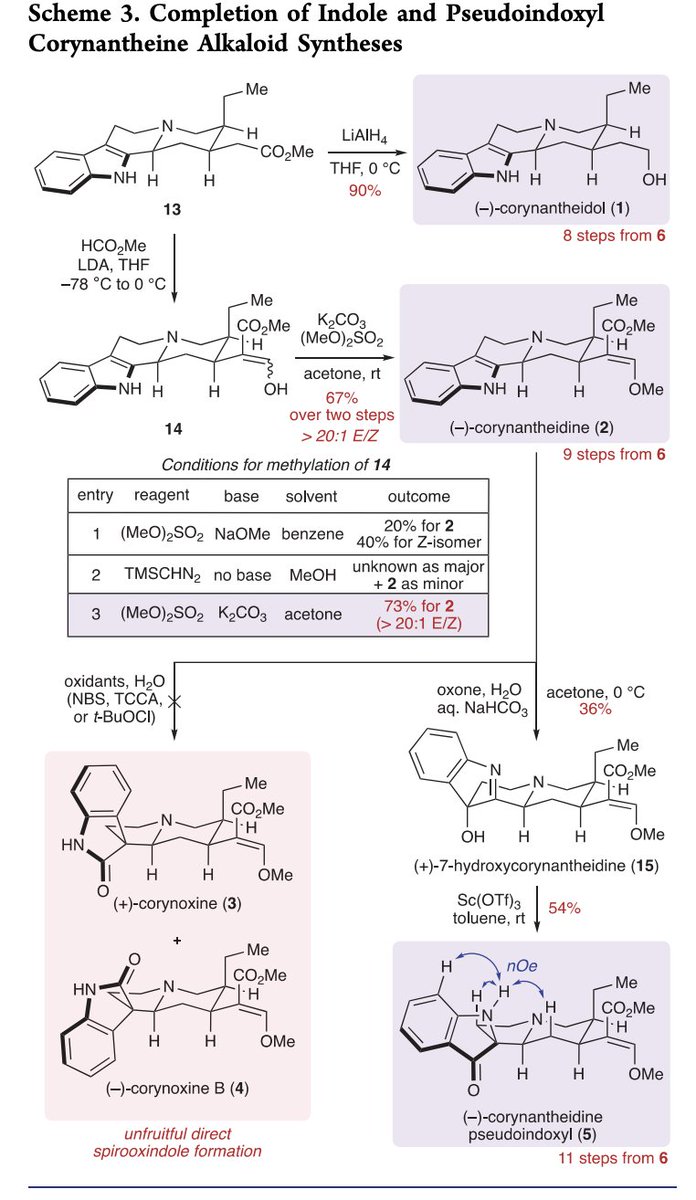TotalSynthesis's tweet photo. A Platform for the #Synthesis of Corynantheine-Type Corynanthe Alkaloids by Yunchan Nam, Anthony T. Tam, Eric R. Miller, and Karl A. Scheidt @ScheidtGroup at @NUChemistry in @J_A_C_S https://t.co/qsFywaMQ47 https://t.co/48n1KnhXnY