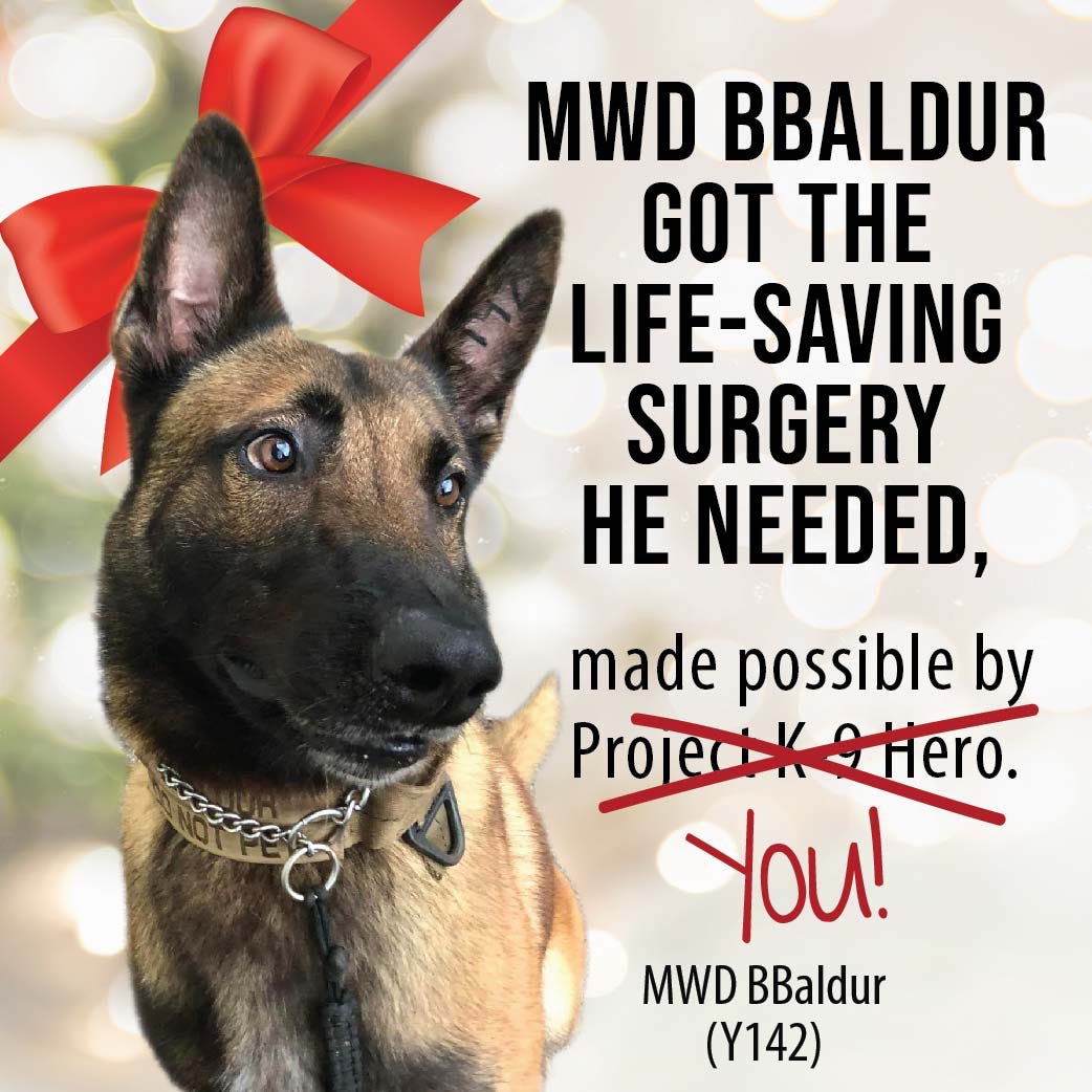 To help PK9H to continue to fund the medical care for Heroes like BBaldur, after their faithful service to our communities and country, you can make a tax-deductible end-of-year contribution to our national nonprofit at: projectk9hero.org/blogs/news/bba…