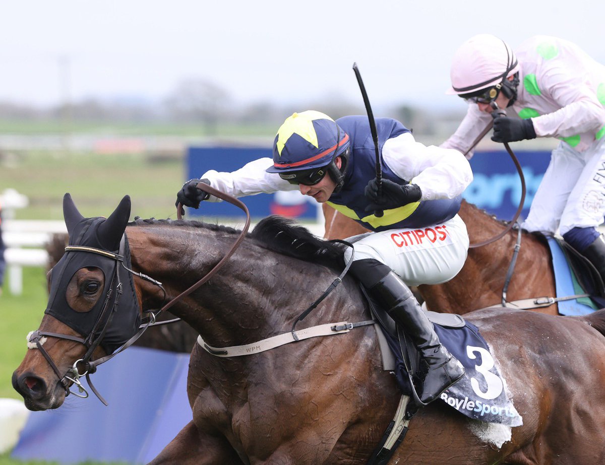 Fairyhouse's tweet image. Looking forward to a great New Years Raceday featuring ➡️

The John &amp;amp; Chich Fowler Memorial @IrishEBF_  Mares Chase Grade 3 which has attracted 6️⃣ runners 

🌟 Allegorie De Vassy
🌟 Rivière D’etel
🌟 Instit
🌟 Must be Obeyed 
🌟 My Design
🌟 Optional Mix