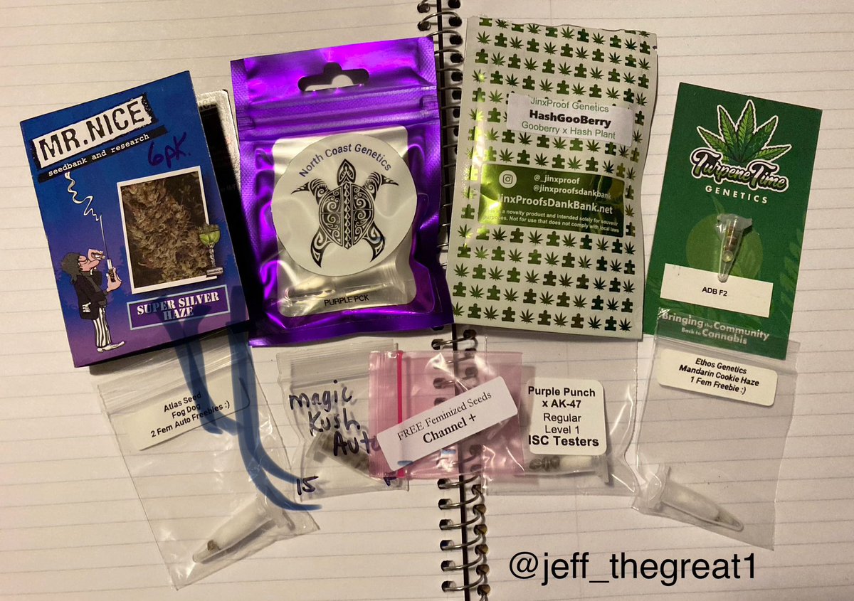jeff_thegreat1's tweet image. 🚨End Of Year Giveaway🚨

45+ seeds to give away from 9 diff breeders 🤯

Rules:

Follow me, RT and tag 3 growmies you think would like this giveaway. 

There will be 2 random winners selected Jan 2 @ 9pm.

#YouKnowWhatToDo #Giveaway #Bye2023 #Seeds #GeneticsMatter #GetYouSome