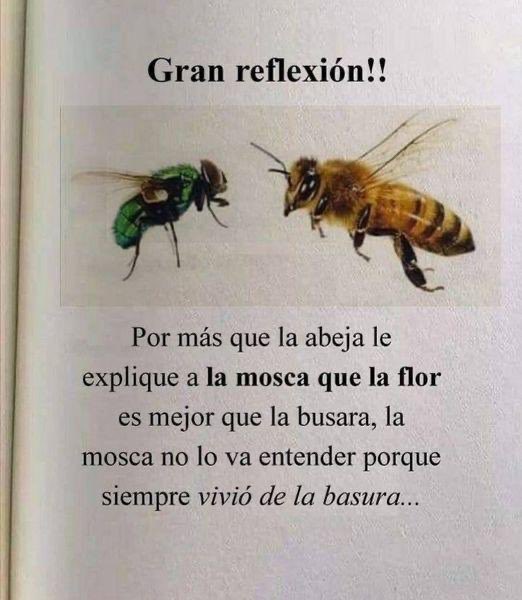 Eduardo Feinmann tweet media