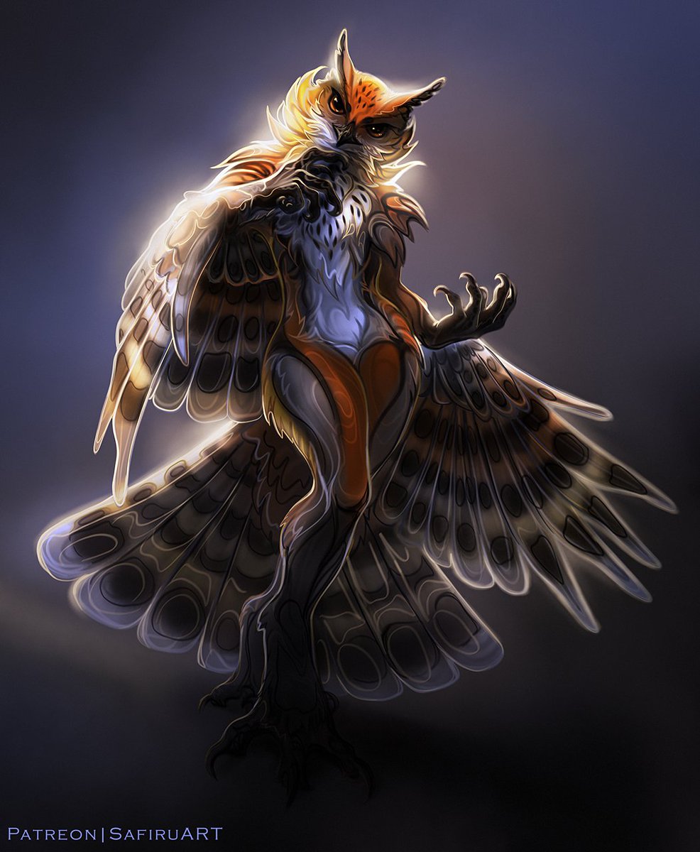 Cute little owl 🦉💕