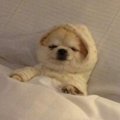 DozeCoinSol's tweet photo. $DOZE is being slept on 😴 https://t.co/GjQOc912h7