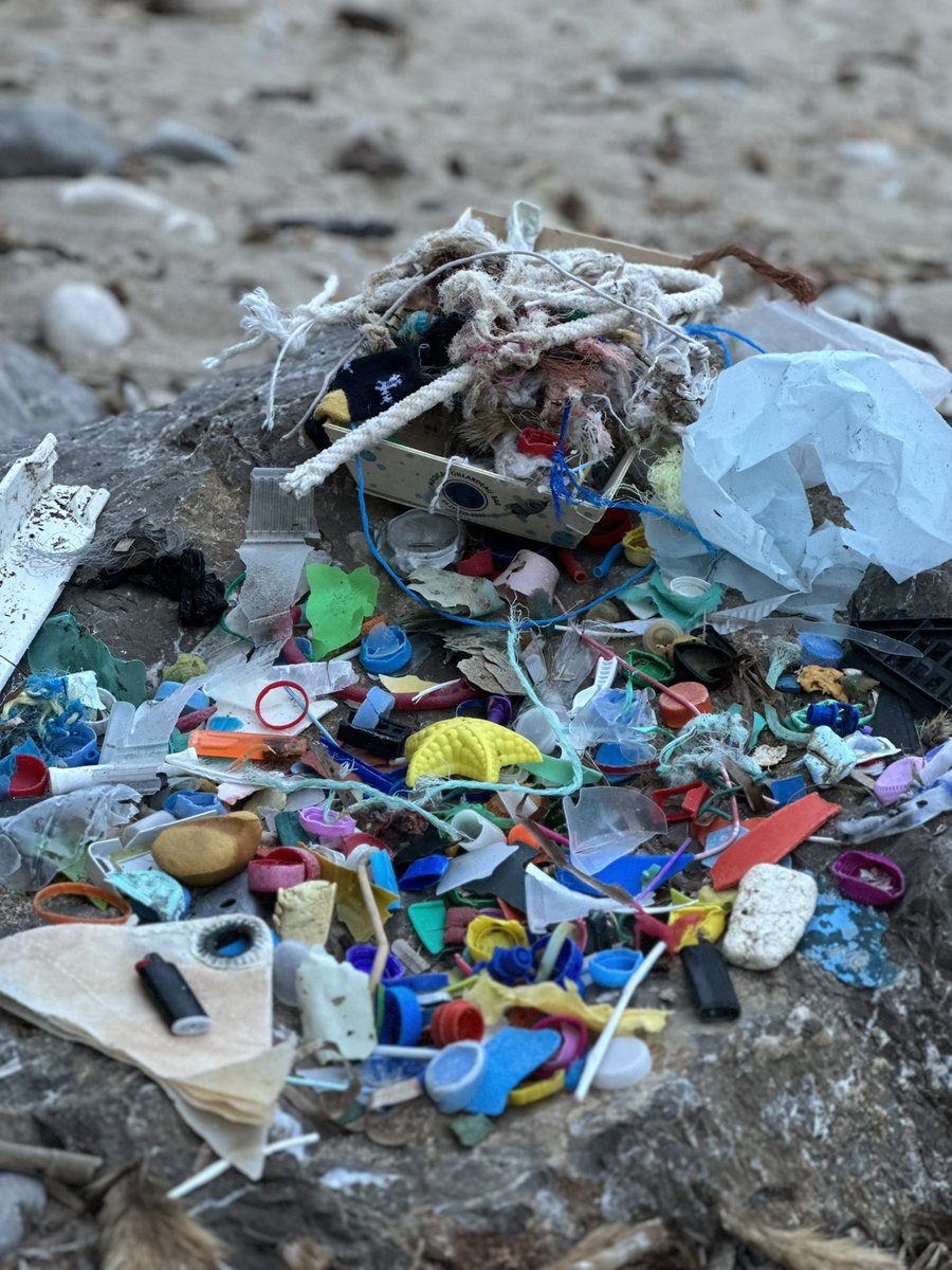 15 minutes of beach cleanup at Ibiza. 
No plastic straws! Lot’s of other plastics.
#familyvisit #Ibiza #plasticpollution singleuseplastic