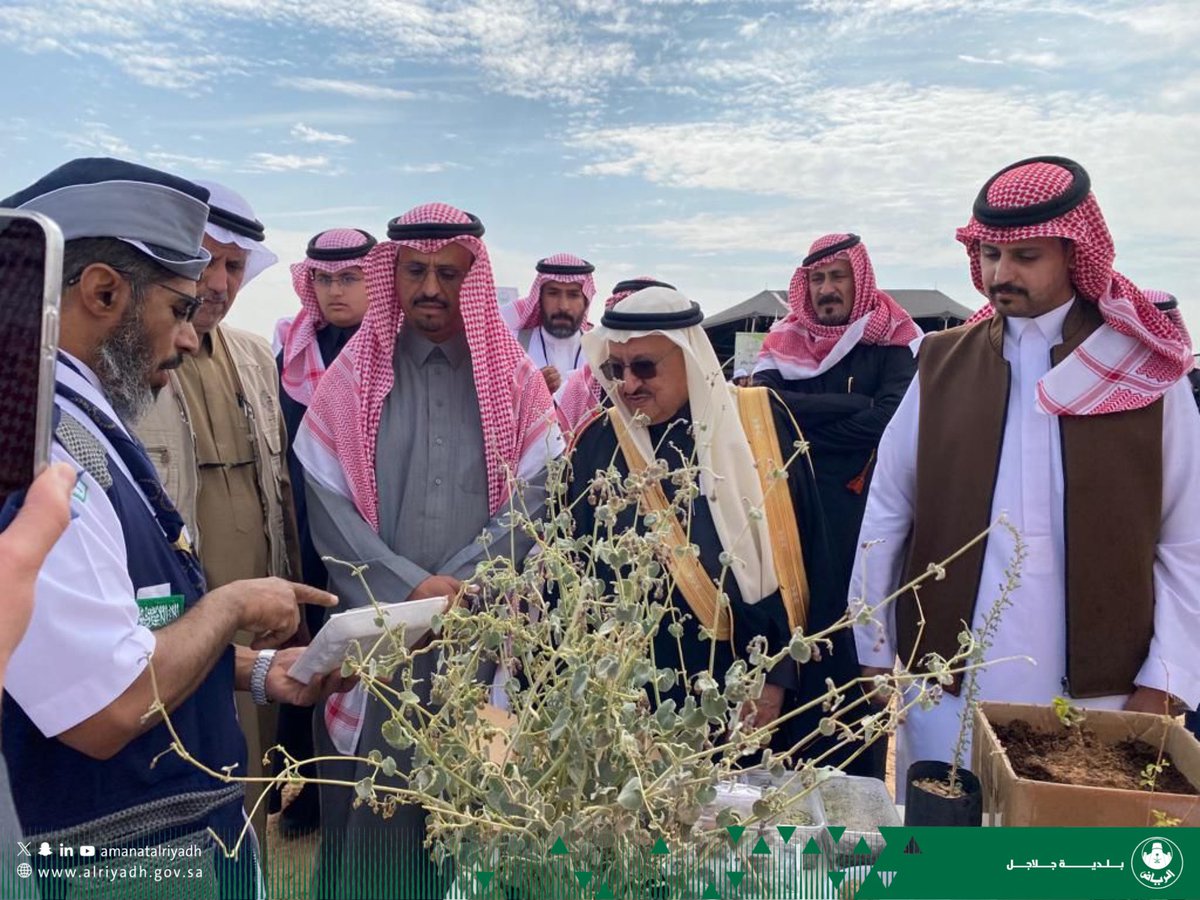 بلدية جلاجل tweet media