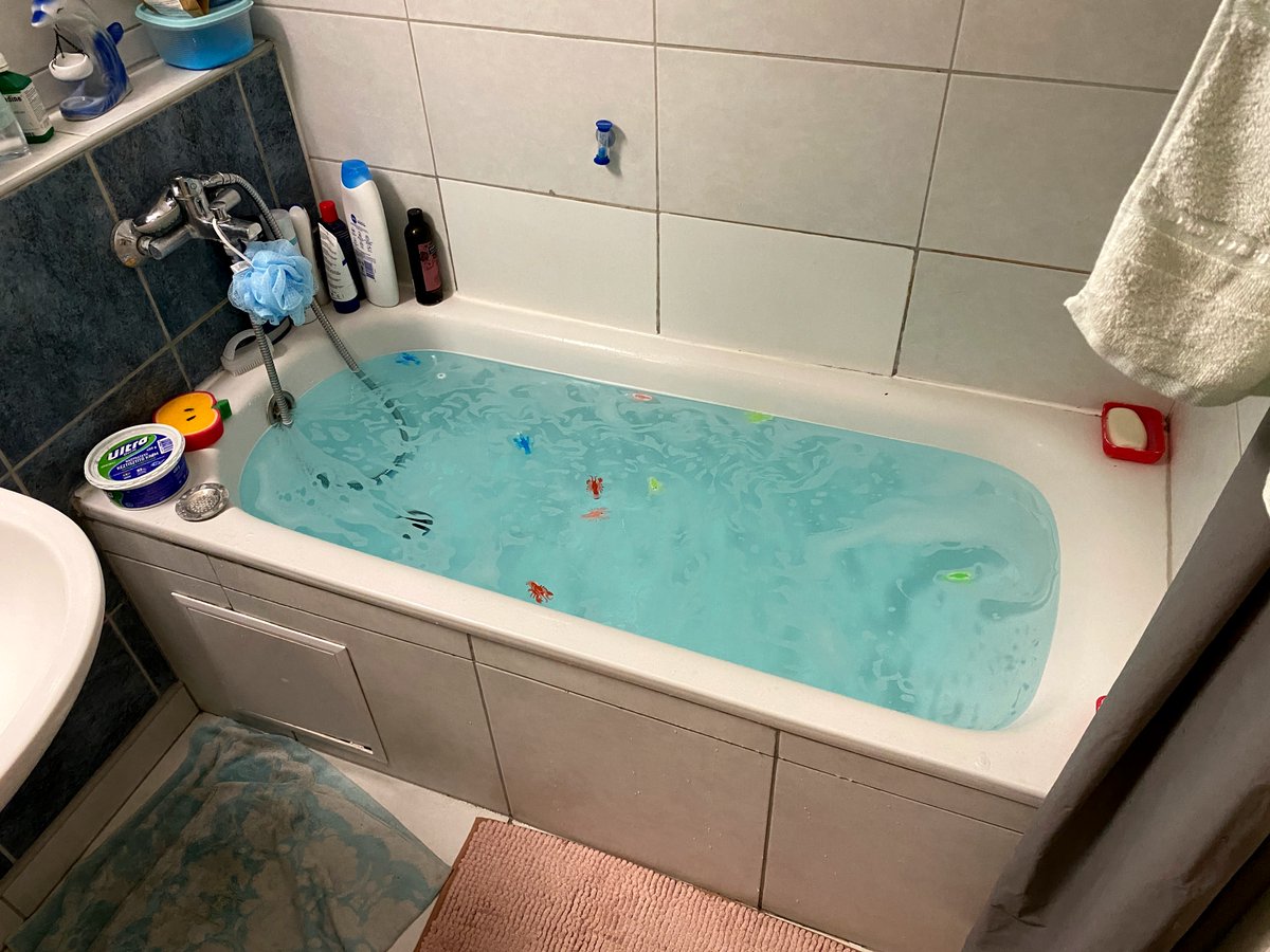 sakrafka's tweet image. my gf made me a lobster bath 😭