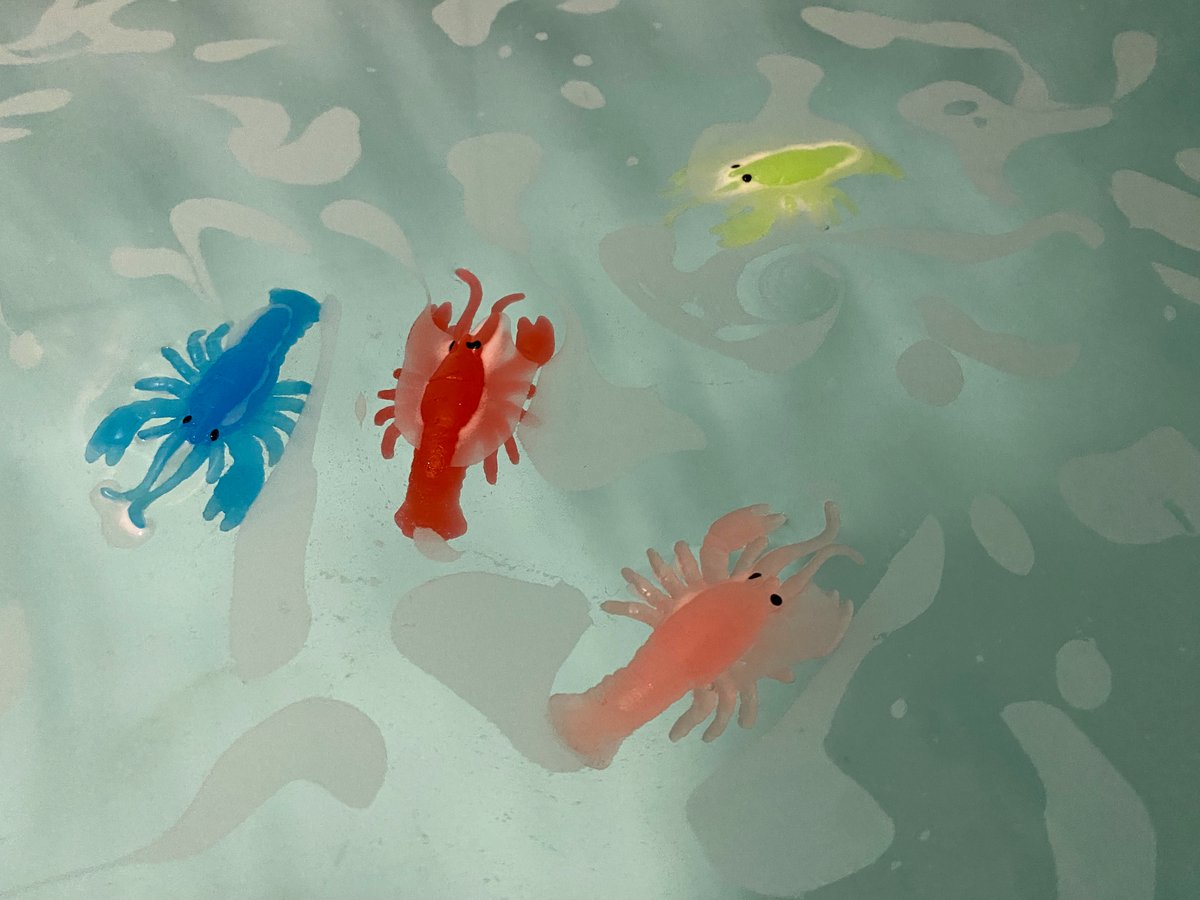 sakrafka's tweet image. my gf made me a lobster bath 😭